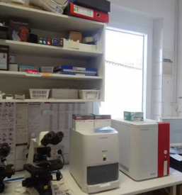 Dober veterinar celje