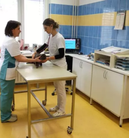 Dober veterinar celje