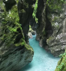 House for rent tolmin