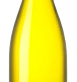 Pinot gris vipava valley slovenia