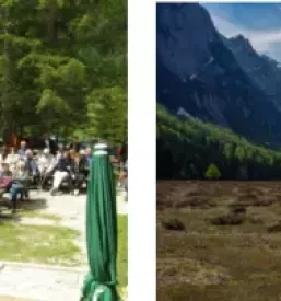 Planinska koca v krmi