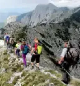 Planinska koca v krmi