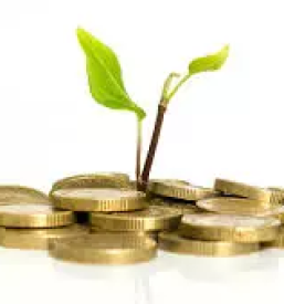 Racunovodski servis bodonci