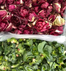 Prodaja zelenjave Domžale