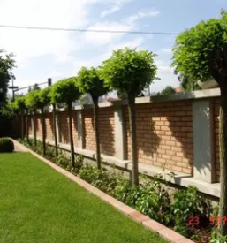 Sadne sadike osrednja slovenija