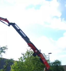 Sadne sadike osrednja slovenija