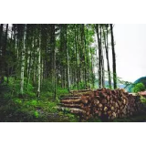 Gozdarstvo Andrej Mele s.p.