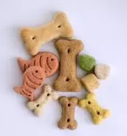 Trgovina za male zivali kocevje