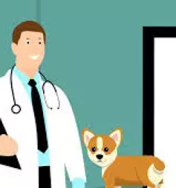 Trgovina za male zivali kocevje