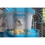 VETERINARSKA POSTAJA KOČEVJE D.O.O.