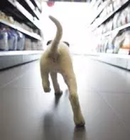 Trgovina za male zivali kocevje