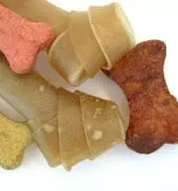 Trgovina za male zivali kocevje