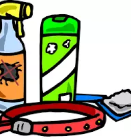 Trgovina za male zivali kocevje