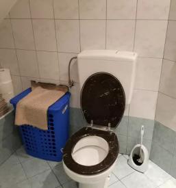 Poceni apartma za 5 oseb Bohinjsko jezero