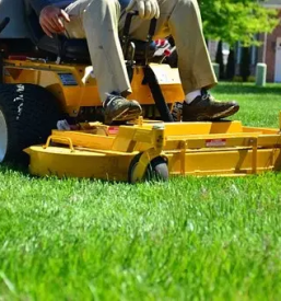 Ugodno urejanje zelenih povrsin primorska