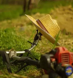 Ugodno urejanje zelenih povrsin primorska