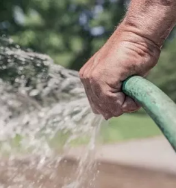 Ugodno urejanje zelenih povrsin primorska