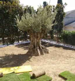 Urejanje dvorisc osrednja slovenija