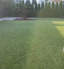 Urejanje dvorisc osrednja slovenija