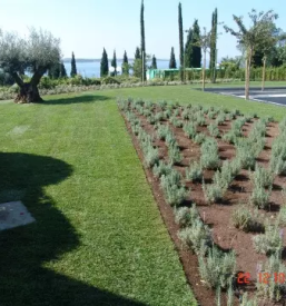 Urejanje okolice osrednja slovenija