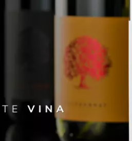 Vrhunska pinot vina v sloveniji