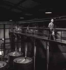 Vrhunska vina goriska