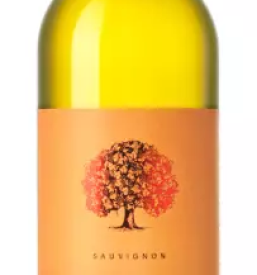 Vrhunska vina goriska