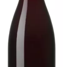 Vrhunska vina goriska