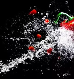 Fotografiranje in graficno oblikovanje primorska