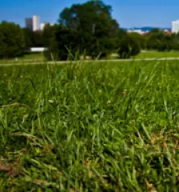 Geodetske storitve ljubljana
