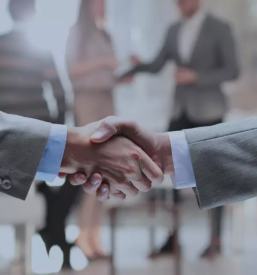 Quality investment advisory slovenia