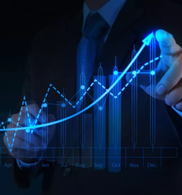 Quality investment advisory slovenia