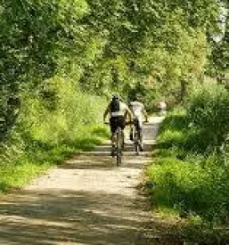 Sobodajalec bohinj srednja vas