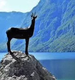 Sobodajalec bohinj srednja vas