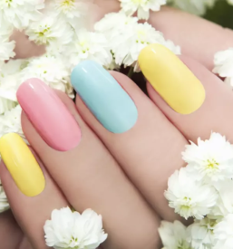 Trajni lak ljubljana btc