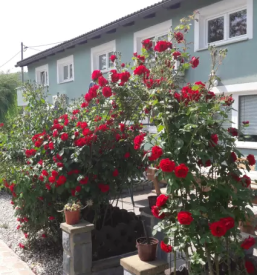 Ugoden apartma secovlje portoroz