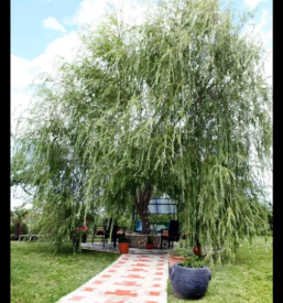 Ugoden apartma secovlje portoroz