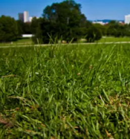 Ugodne geodetske storitve ljubljana okolica