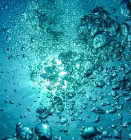 Affordable apartment izola