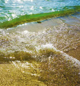 Affordable apartment izola