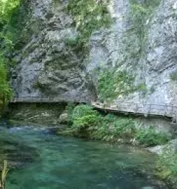 Apartmaji bohinj srednja vas