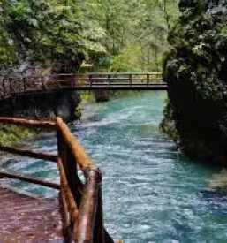 Apartmaji bohinj srednja vas