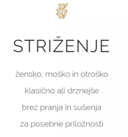 Frizerski salon dolenjska