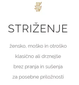 Frizerski salon dolenjska