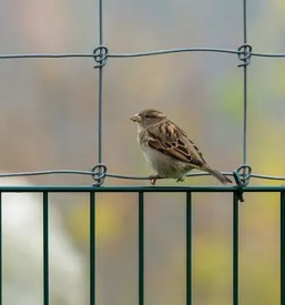 Izdelava panelnih ograj osrednja slovenija