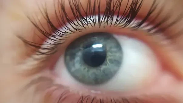 Lash lift terapija Ljubljana BTC