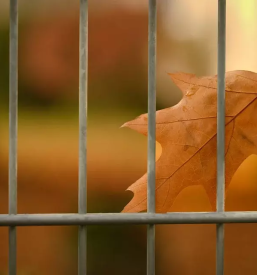 Montaza panelnih ograj osrednja slovenija