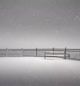 Montaza panelnih ograj osrednja slovenija