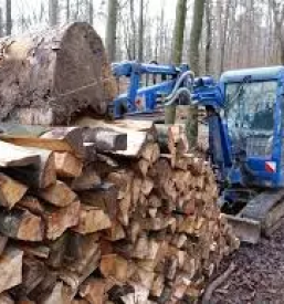 Odvoz lesa gorenjska