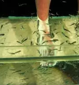 Lakiranje nohtov salon BTC